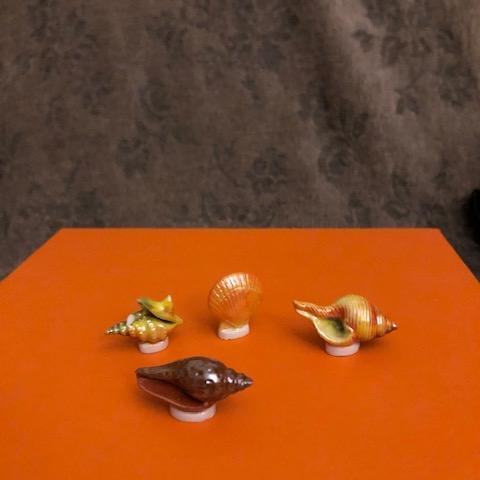 troc de  (réservé) 4 fèves coquillages, sur mytroc
