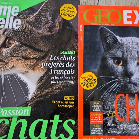 troc de  2 magazines sur les chats, sur mytroc