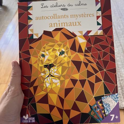troc de  Je donne cette activité manuelle, sur mytroc