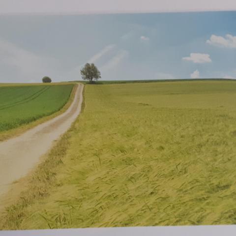troc de  Cartes postales paysages, sur mytroc
