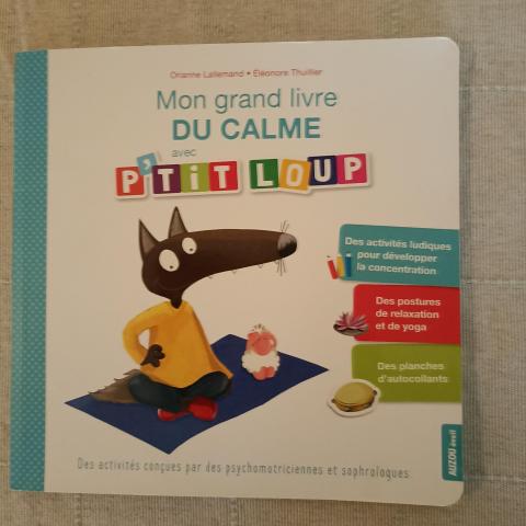 troc de  Livre enfant pour apprendre à gérer ses émotions, sur mytroc