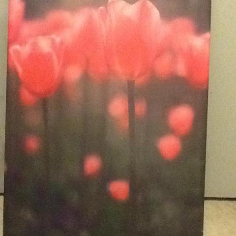 troc de  Toile de Tulipes 50X70cm, sur mytroc