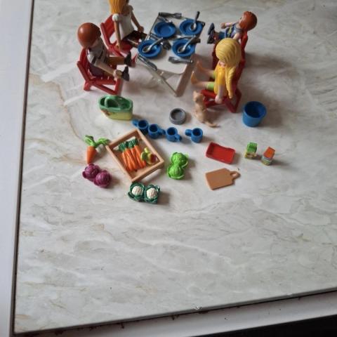 troc de  Lot playmobil, sur mytroc