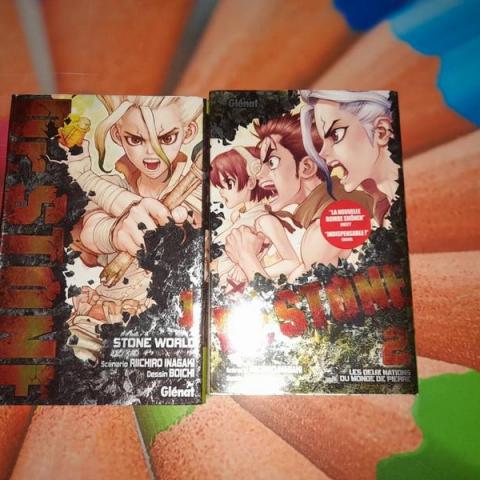 troc de  *reserve* Lot 2 manga dr Stone tome 1 et 2 glénat, sur mytroc