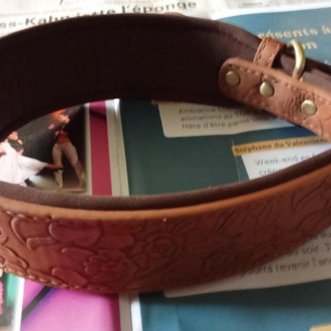 troc de  collier pour grand chien neuf réserver fidjy, sur mytroc