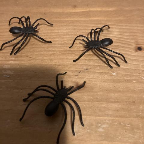troc de  5 araignées en plastique, sur mytroc