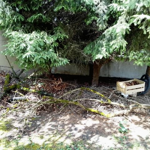 troc de  BOIS DE CHAUFFAGE, sur mytroc