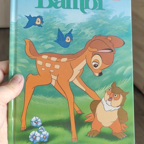 troc de  Livre disney, sur mytroc