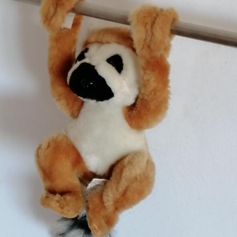 troc de  RÉSERVÉ  F. Panda roux peluche qui s'accroche, sur mytroc