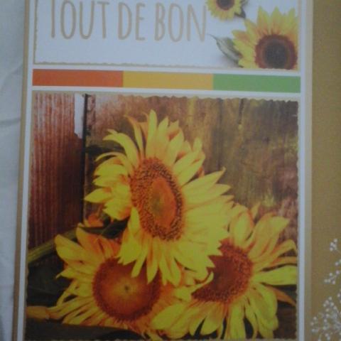 troc de  Carte TOUT DE BON fleurs de tournesols & son enveloppe ocre décor, sur mytroc