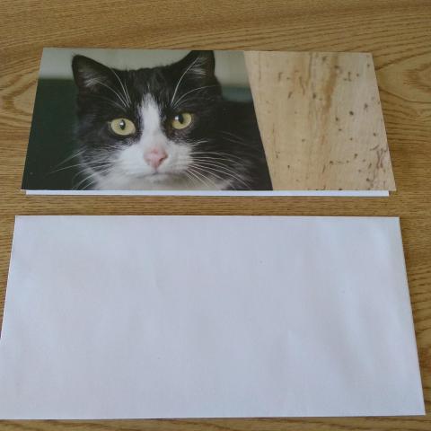 troc de  Carte chat spa et enveloppe, sur mytroc