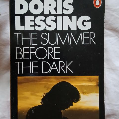 troc de  The Summer before the Dark Doris Lessing, sur mytroc