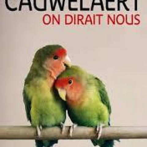troc de  Livre - On dirait nous - Poche - Didier Van Cauwelaert, sur mytroc