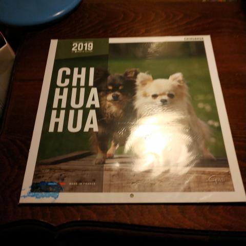 troc de  Calendrier chien 2019, sur mytroc