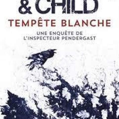 troc de  Attribué Livre - Tempête blanche - Poche -  D. Preston - L. Child, sur mytroc