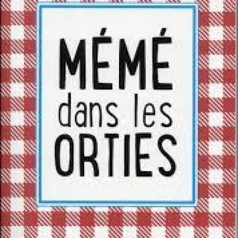 troc de  Attribué Livre - Mémé dans les orties - Poche - Aurélie Valognes, sur mytroc
