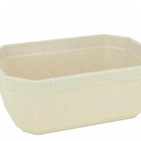 troc de  Terrine plastique, sur mytroc