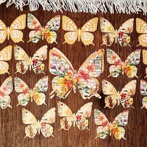 troc de  Papillons., sur mytroc