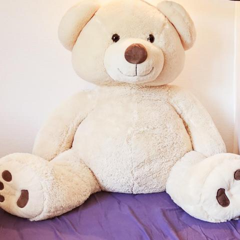 troc de  Maxi ours troc, sur mytroc