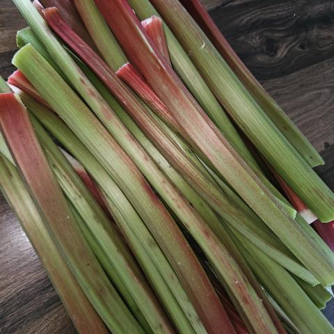 troc de  5 kg de rhubarbe, sur mytroc