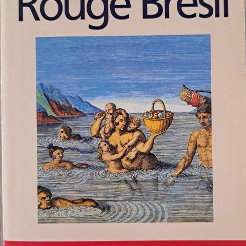 troc de  Rouge Brésil de Jean Christophe Ruffin, sur mytroc
