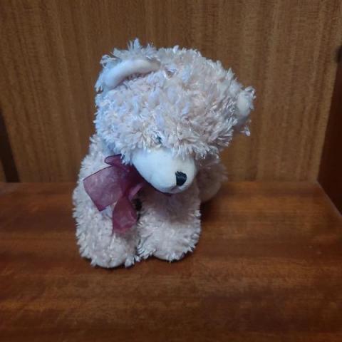 troc de  Ours en peluche, sur mytroc