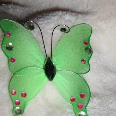 troc de  papillon moyen vert, sur mytroc