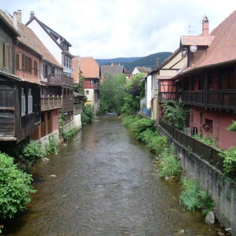 troc de  débarras,espace vert et autres, sur mytroc