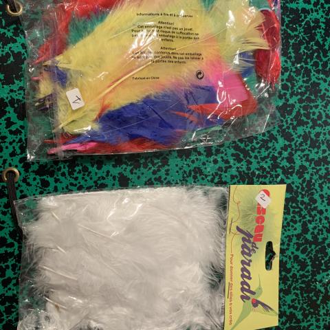 troc de  Plumes, sur mytroc