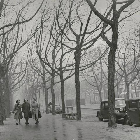 troc de  Pour BULLE, sur mytroc