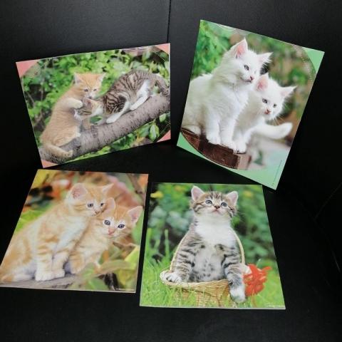 troc de  Chatons calendrier La Poste, sur mytroc