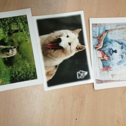 troc de  3 Cartes postales loup, sur mytroc
