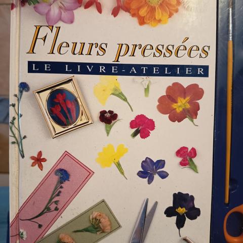 troc de  Livre pour Loisirs Créative et accessoires., sur mytroc