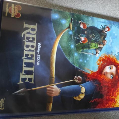 troc de  Rebelle, sur mytroc