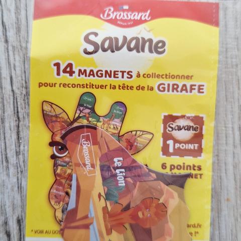 troc de  RESERVE - Magnet savane - le lion, sur mytroc