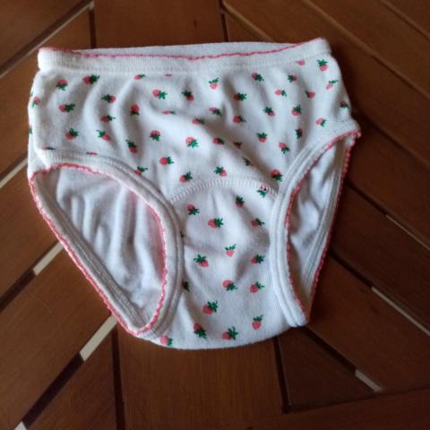 troc de  petite culotte neuve coton 2/3 ans  2  noisettes, sur mytroc