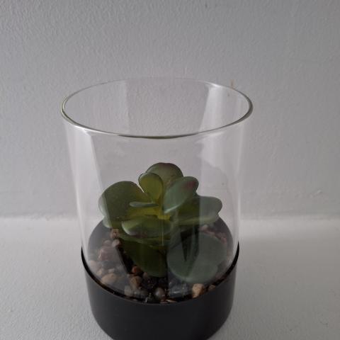 troc de  Plante déco artificielle, sur mytroc