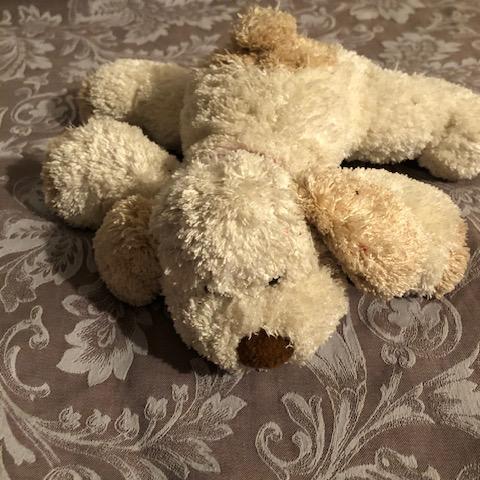 troc de  (réservé) Peluche toutou Marks & Spencer 17cm approx., sur mytroc