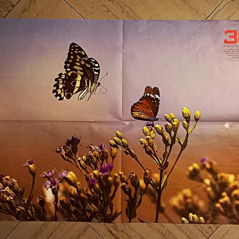 troc de  Poster papillons., sur mytroc
