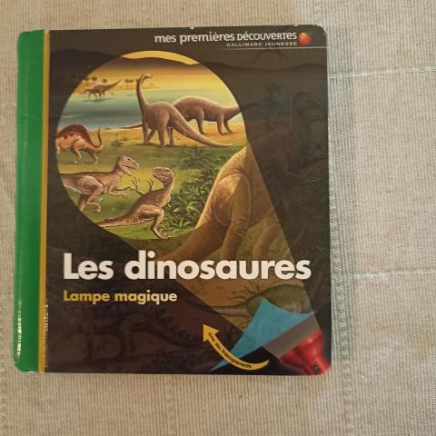 troc de  Réservé Livre enfant avec "lampe" magique, sur mytroc