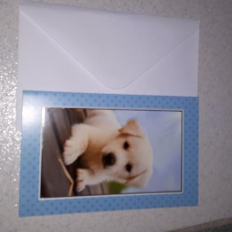 troc de  Carte postale chien, sur mytroc