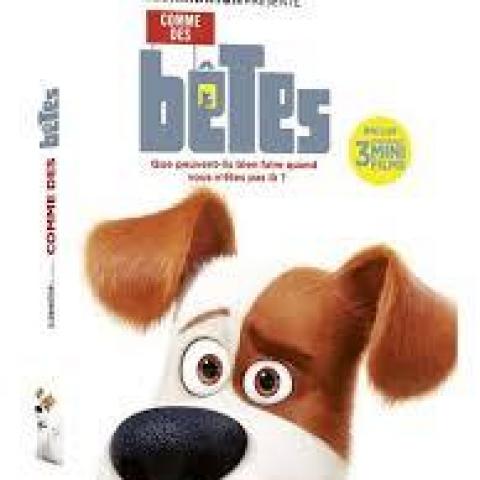 troc de  DVD - Comme des bêtes, sur mytroc