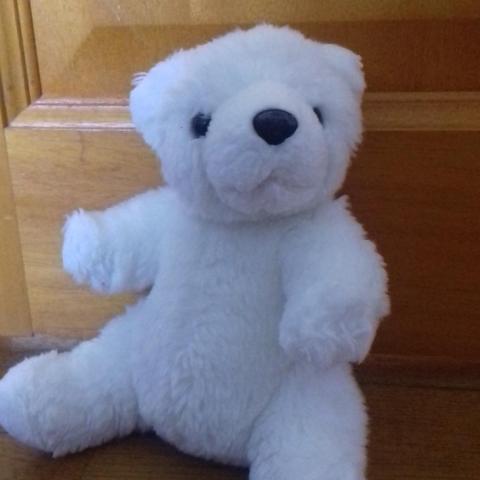 troc de  RESERVE -Petit ours polaire, sur mytroc