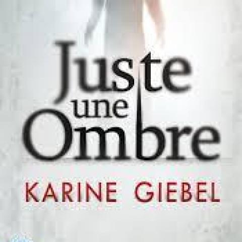 troc de  Livre - Juste une ombre - Poche - Karine Giebel, sur mytroc