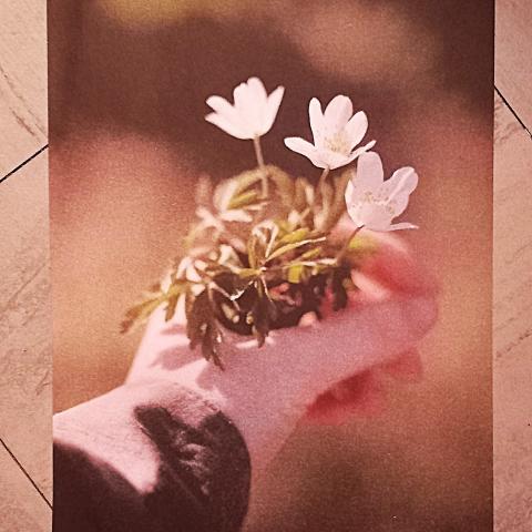 troc de  Affiche "Pour toi"., sur mytroc