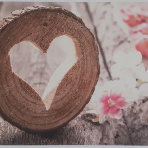 troc de  RESERVE Ginkgo Carte postale amour 59, sur mytroc