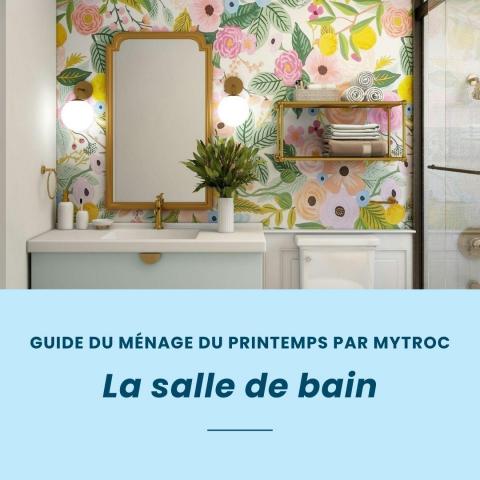 troc de  (Cadeau à l'intérieur) Ménage de printemps de la salle de bain, sur mytroc