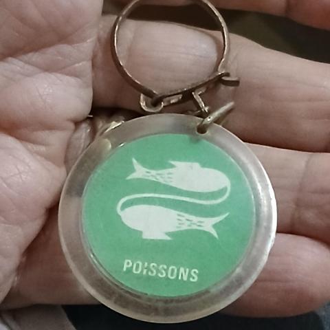 troc de  Reserver Fidji Porte Clé, sur mytroc