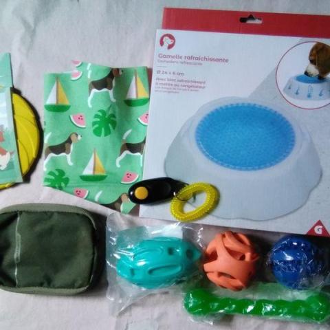 troc de  Lot accessoires, pour chien, NEUF, sur mytroc