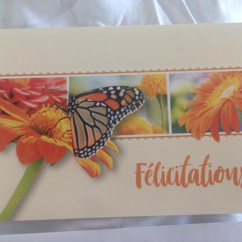 troc de  Carte Félicitations papillon butinant & son enveloppe blanche, sur mytroc